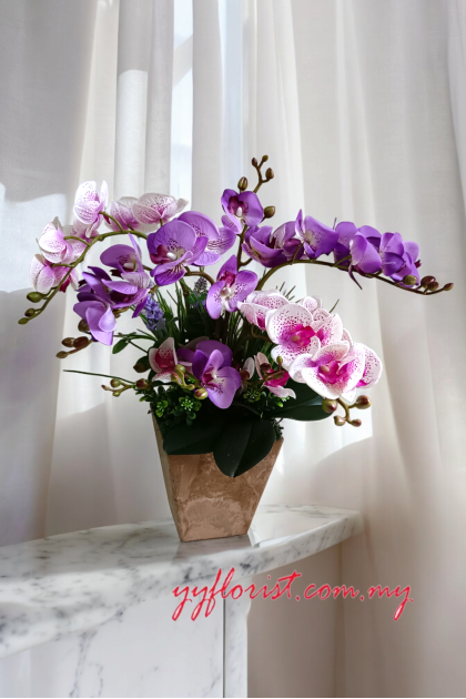 Beautiful Orchid - Pink Purple Beautiful Orchid - Pink Purple