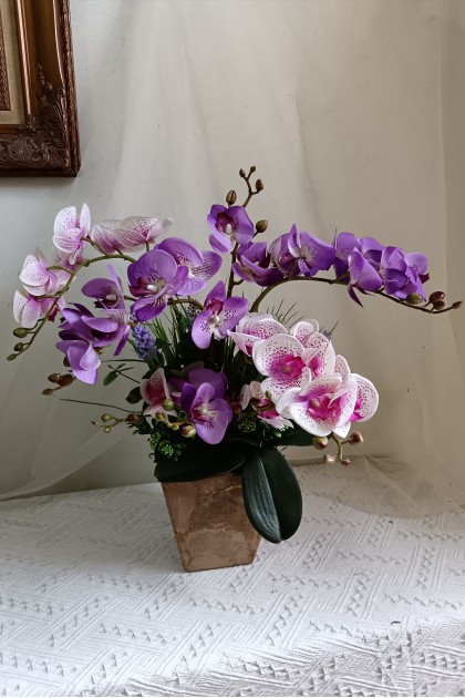 Beautiful Orchid - Pink Purple Beautiful Orchid - Pink Purple